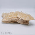 Needle Calcite | The Precision Anchor